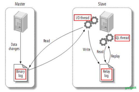 image-20210821115914748