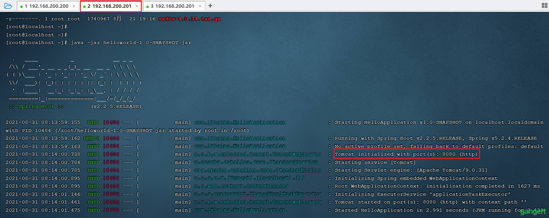 image-20210831081513575