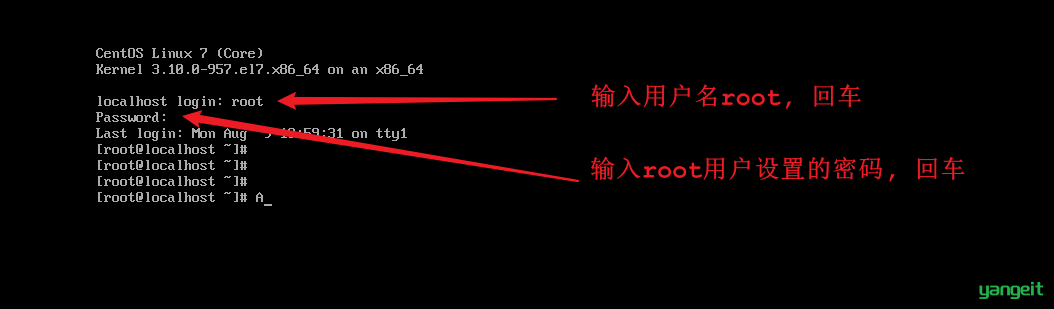 image-20210809232913715
