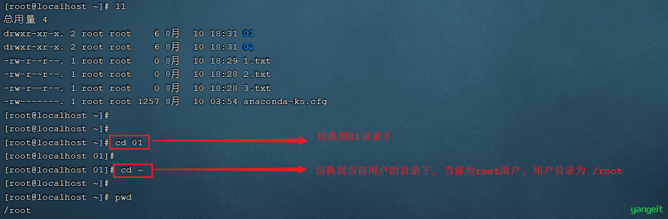 image-20210810230949775