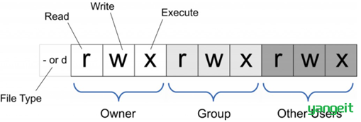 image-20210815162945754