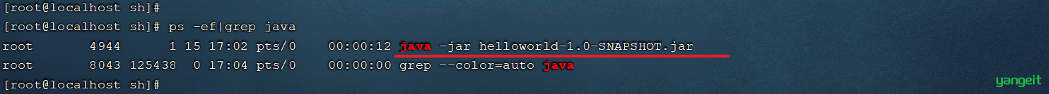 image-20210815170418707
