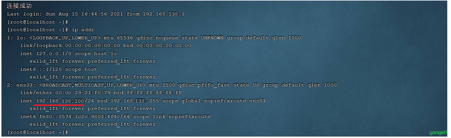 image-20210815172832108