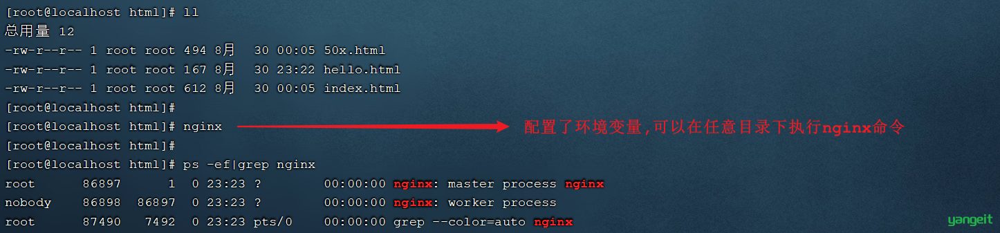 image-20210830232419462