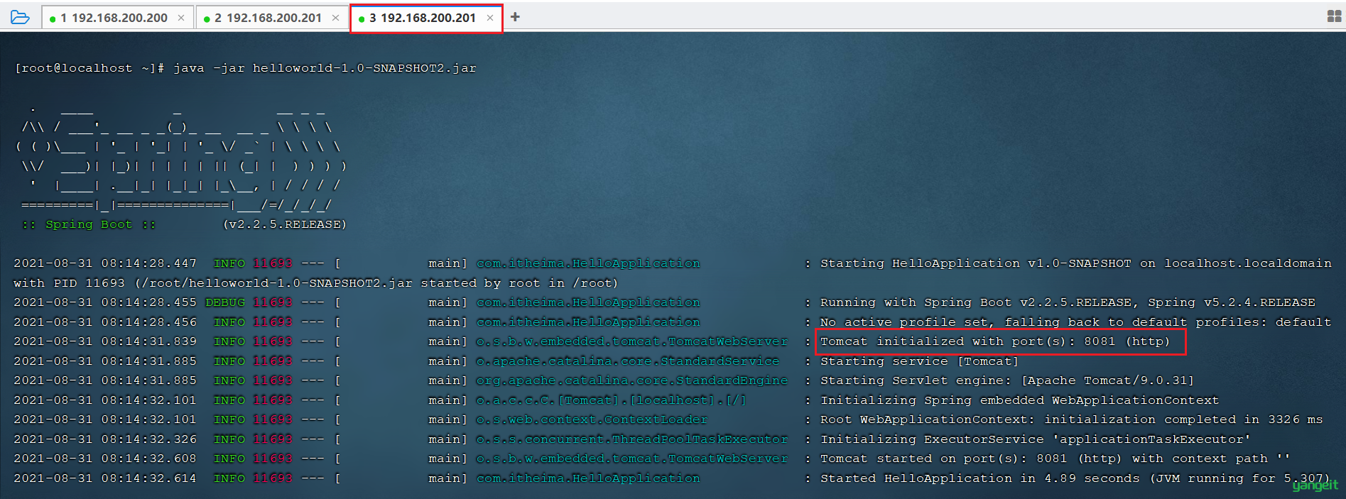 image-20210831081544582