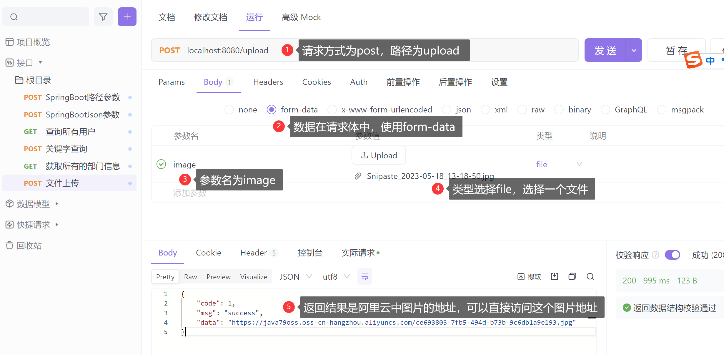 apifox软件测试结果: