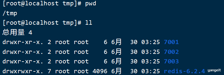 image-20210630113929868