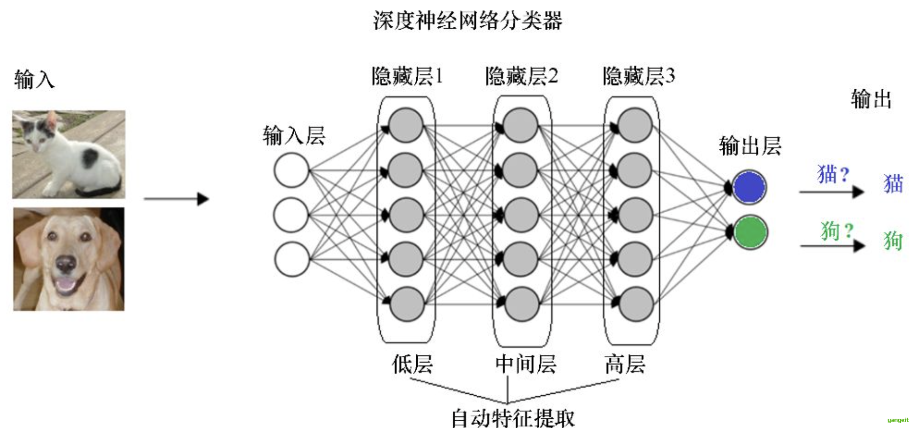深度学习猫狗分类