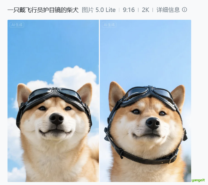 只有主体
